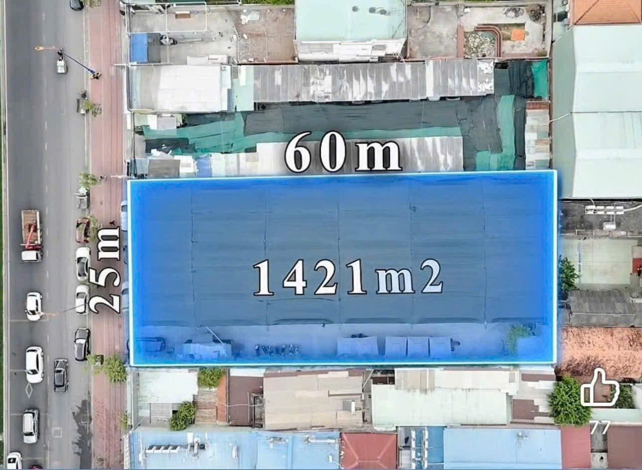 1000033166jpg