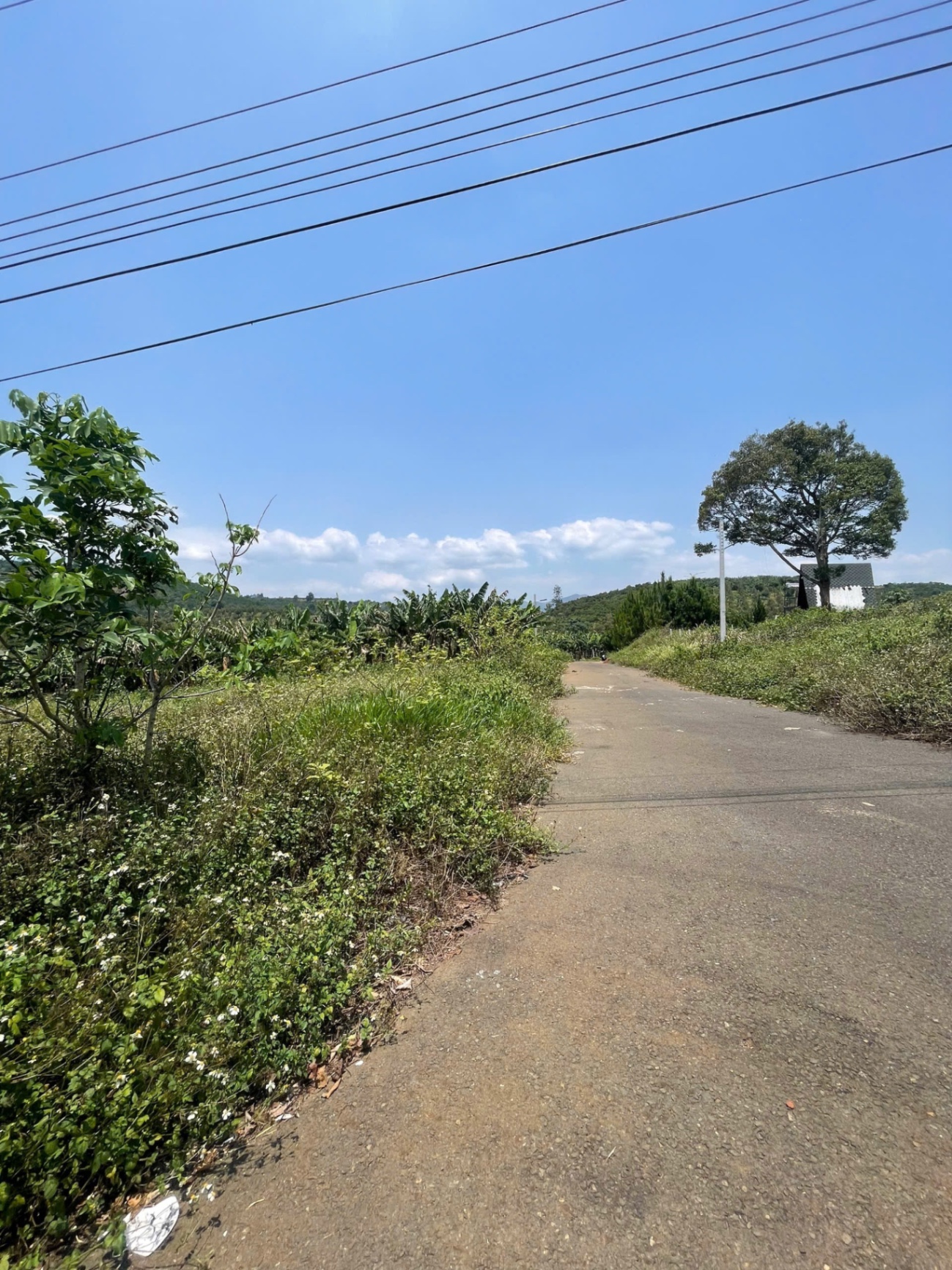 img_4342jpeg