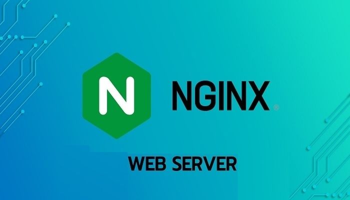 Nginx hiệu suất cao, ổn định cho website traffic lớn
