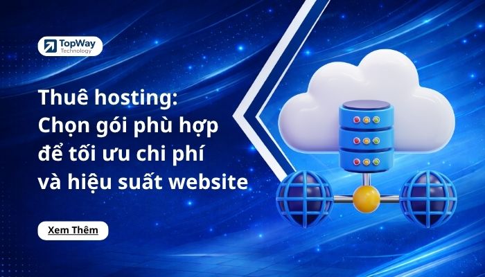 Thuê hosting: Cách chọn gói phù hợp để tối ưu chi phí và hiệu suất website