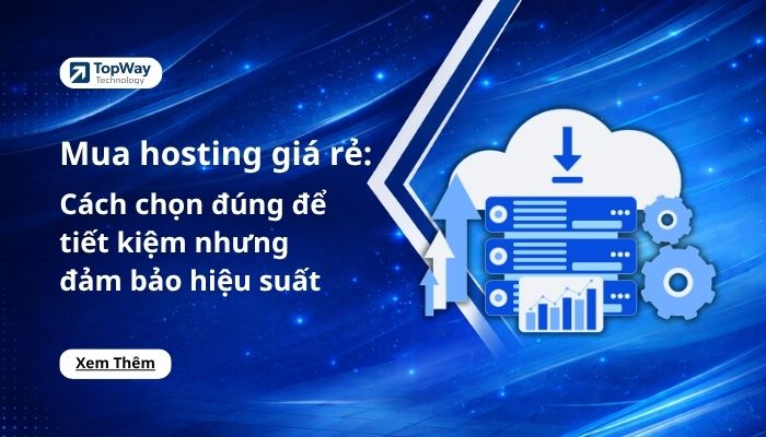 Mua hosting giá rẻ: Cách chọn đúng để tiết kiệm mà vẫn đảm bảo hiệu suất