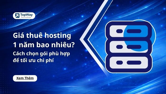 Giá thuê hosting 1 năm bao nhiêu? Cách chọn gói phù hợp để tối ưu chi phí