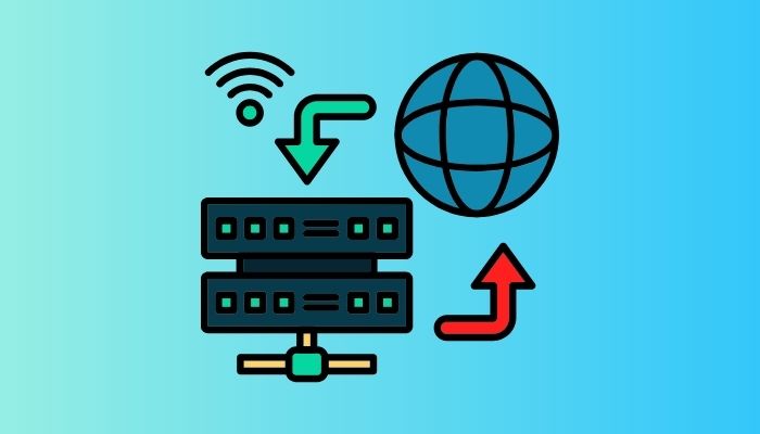 mua host và domain