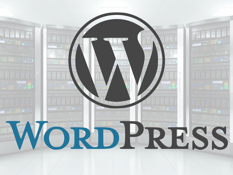 Thông số cần biết khi thuê Hosting Wordpress