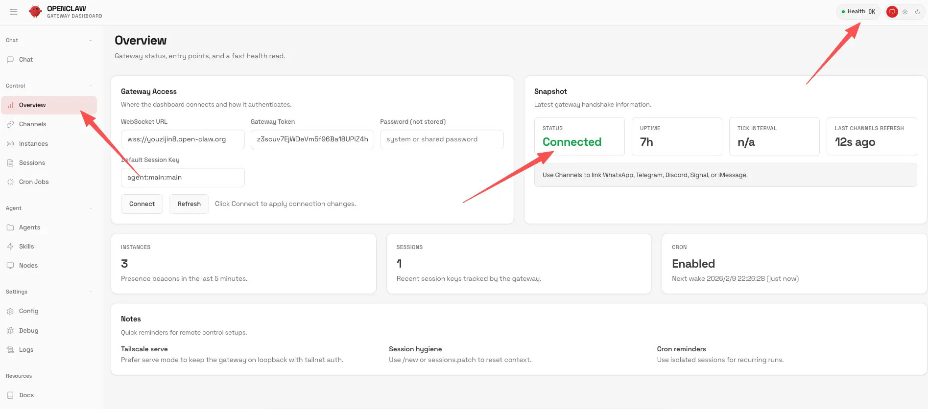 Giao diện sử dụng OpenClaw trên Local Web (Control UI)