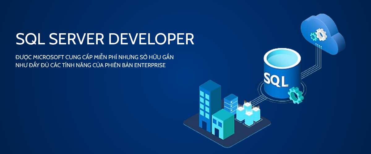 SQL Server Developer