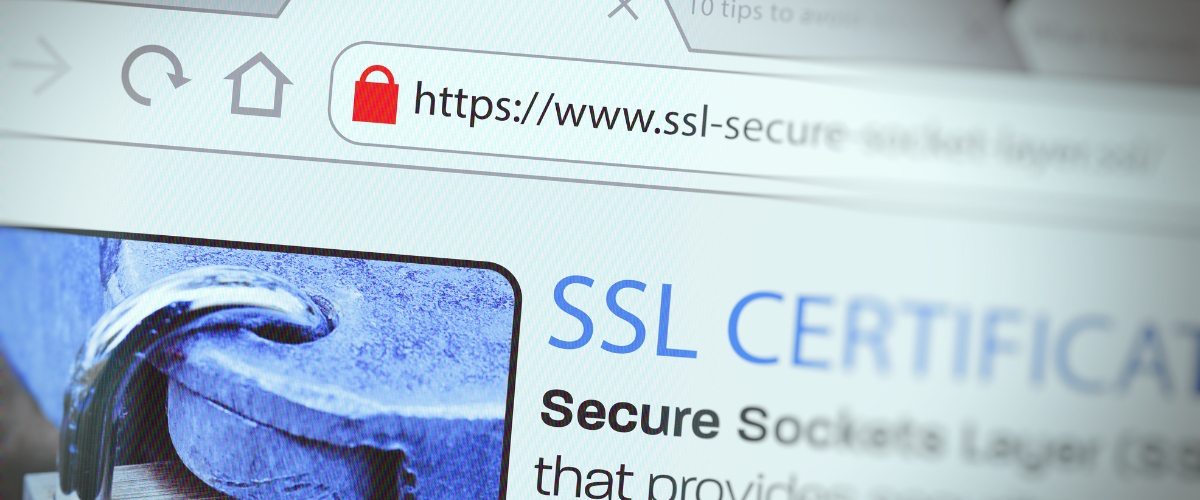 Cách chọn chứng chỉ SSL phù hợp
