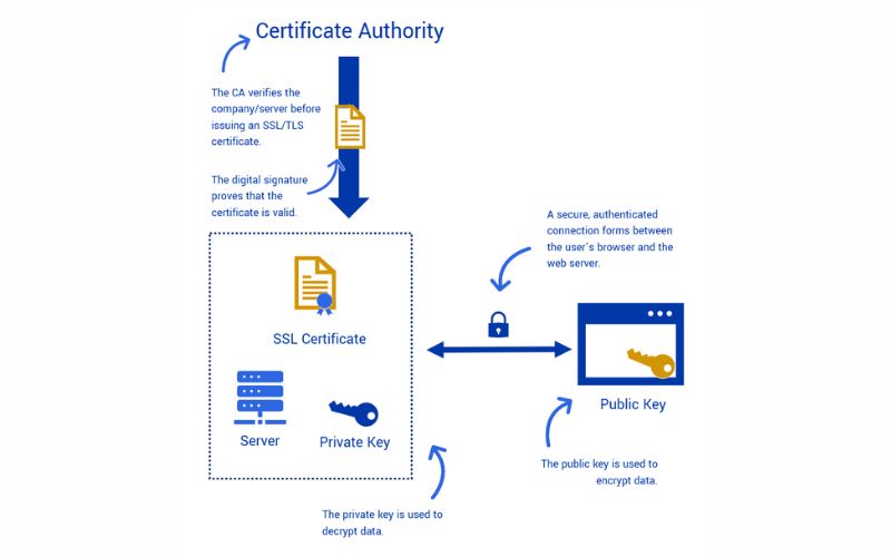 Vai trò của Certificate Authority