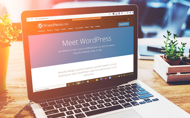 Tìm hiểu về Wordpress