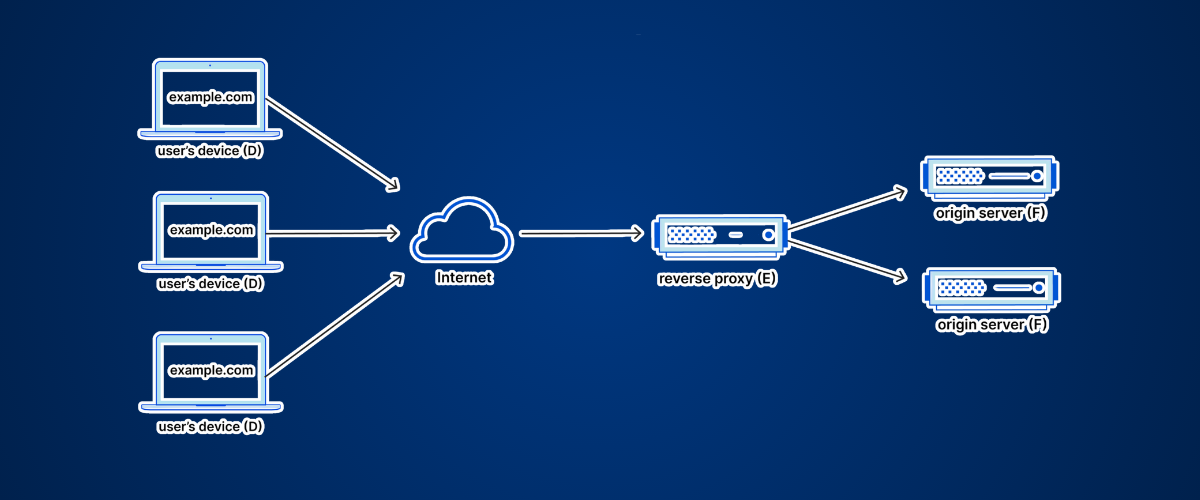 Reverse Proxy