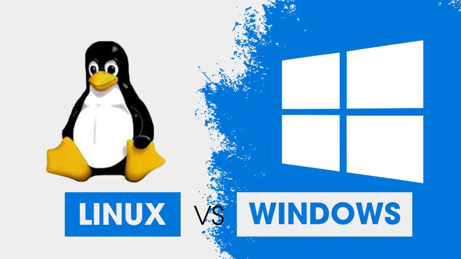 Windows hosting hay linux hosting