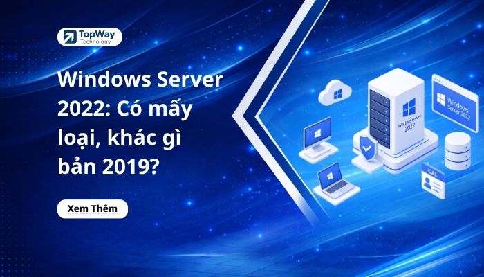 Windows Server 2022: Có mấy loại, khác gì bản 2019?