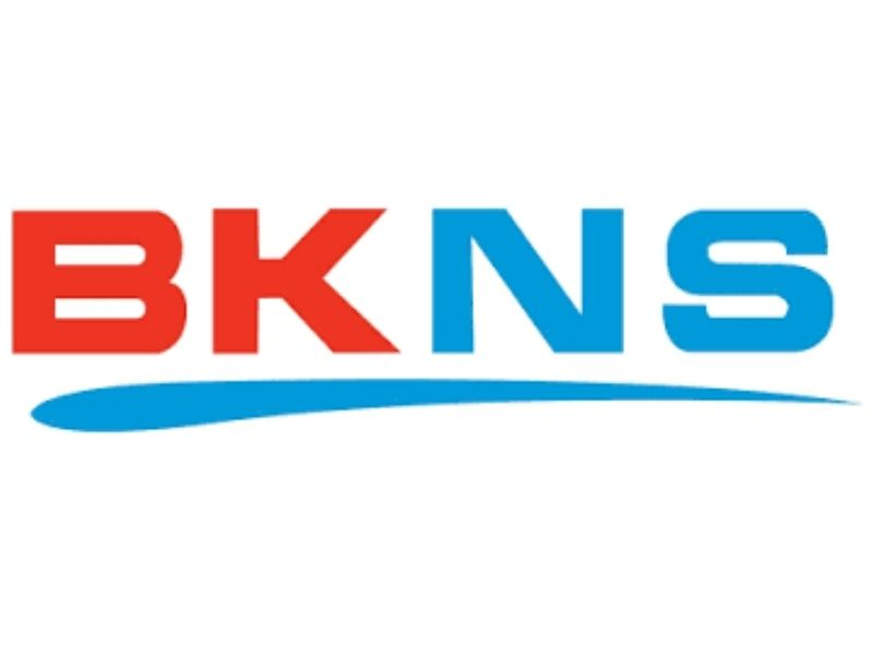 Nhà cung cấp tên miền BKNS